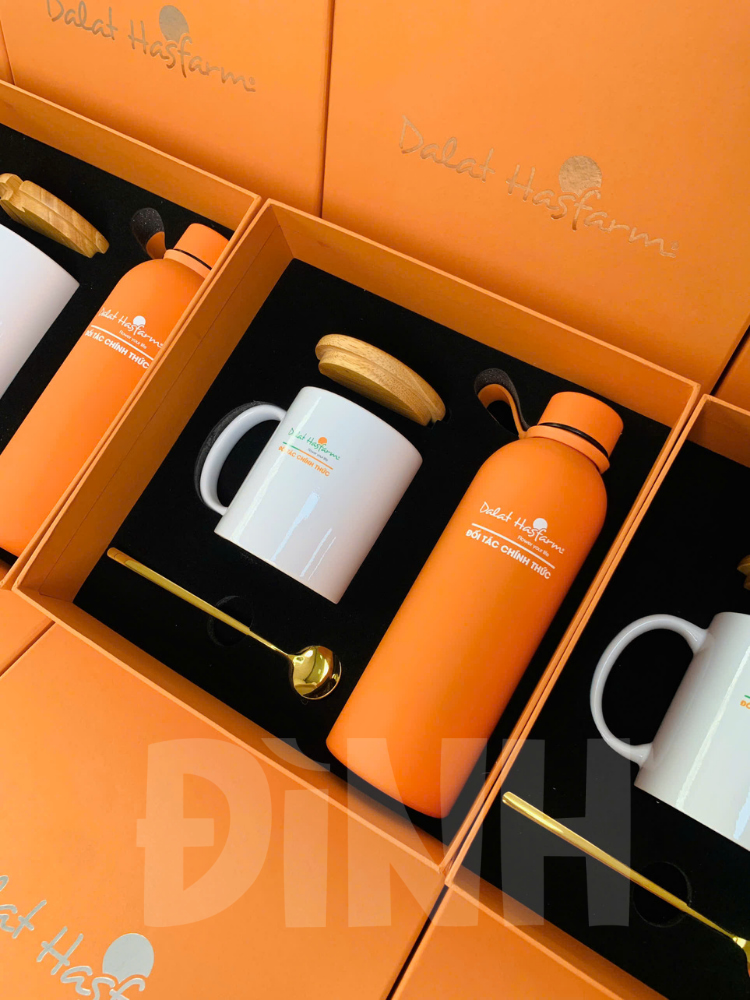ĐÌNH GIFT (1)