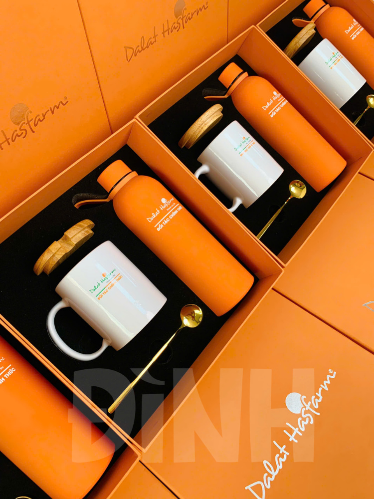 ĐÌNH GIFT (1)