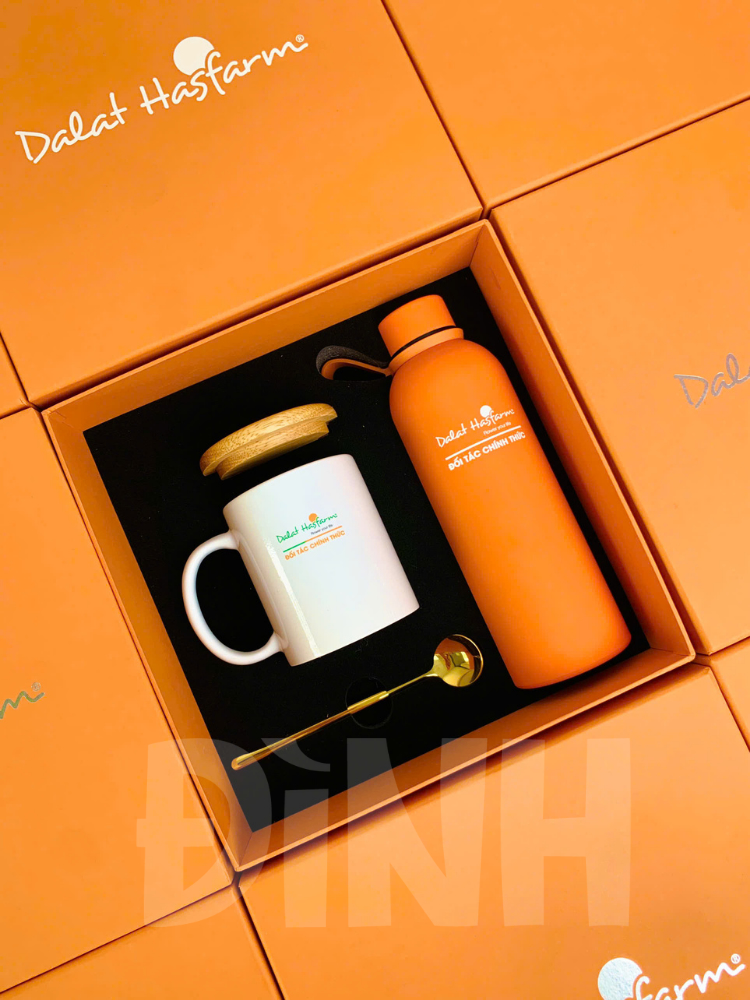 ĐÌNH GIFT (1)