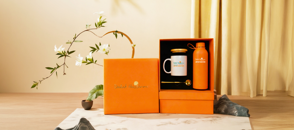 ĐÌNH GIFT (5)
